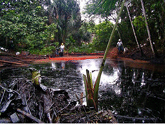 Oil Spill in Ecuador