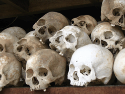 Skulls from victims of Cambodia's killing fields