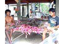 Men preparing pond lilies for sale