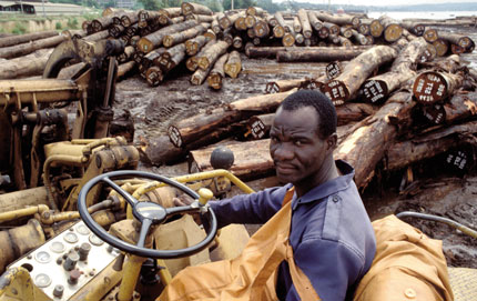 Destruction in the name of progress: hardwood rainforest logs being stacked for export near Abidjan, Ivory Coast.