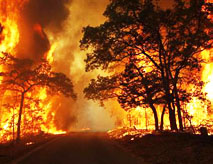 Texas Wildfire, 2011