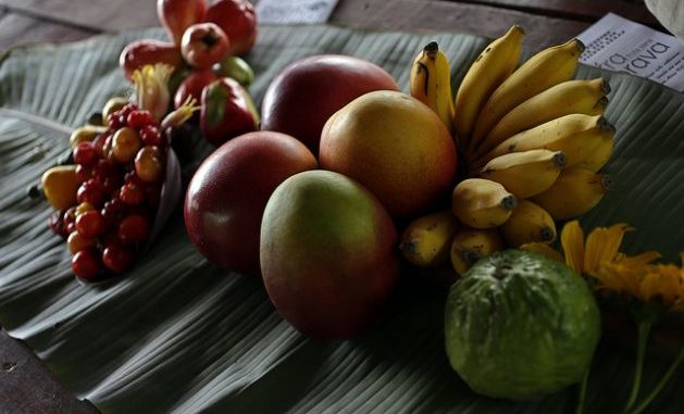 An assortment of fruit grown on the Tierra Brava farm in Los Palacios, in the western Cuban province of Pinar del Río. In the cooperative of which it forms part, farmers aspire to build a processing plant to sell “healthy fruit” to tourists. Credit: Jorge Luis Baños/IPS