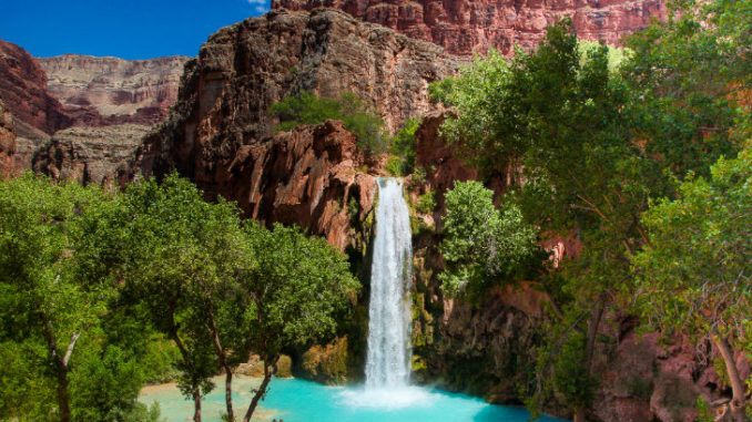 Havasu Falls on the Havasupai Reservation. Areas such as these are fed by the aquifer directly beneath the Canyon Mine. Photo: Garet Bleir