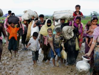 Rohingya refugees fleeing Myanmar. Credit: Mohammad Ponir Hossain/Reuters