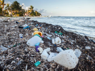 Plastic Waste washed up at shore, Turneffe Atoll, Caribbean, Belize. Photo credit: Waterframe, Alamy