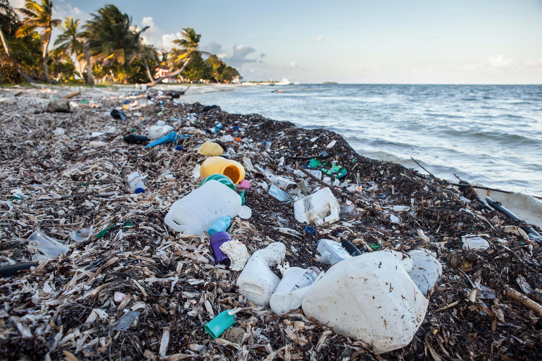 Drowning in Garbage: Oceans May Have More Plastics Than Fish in a Few Decades