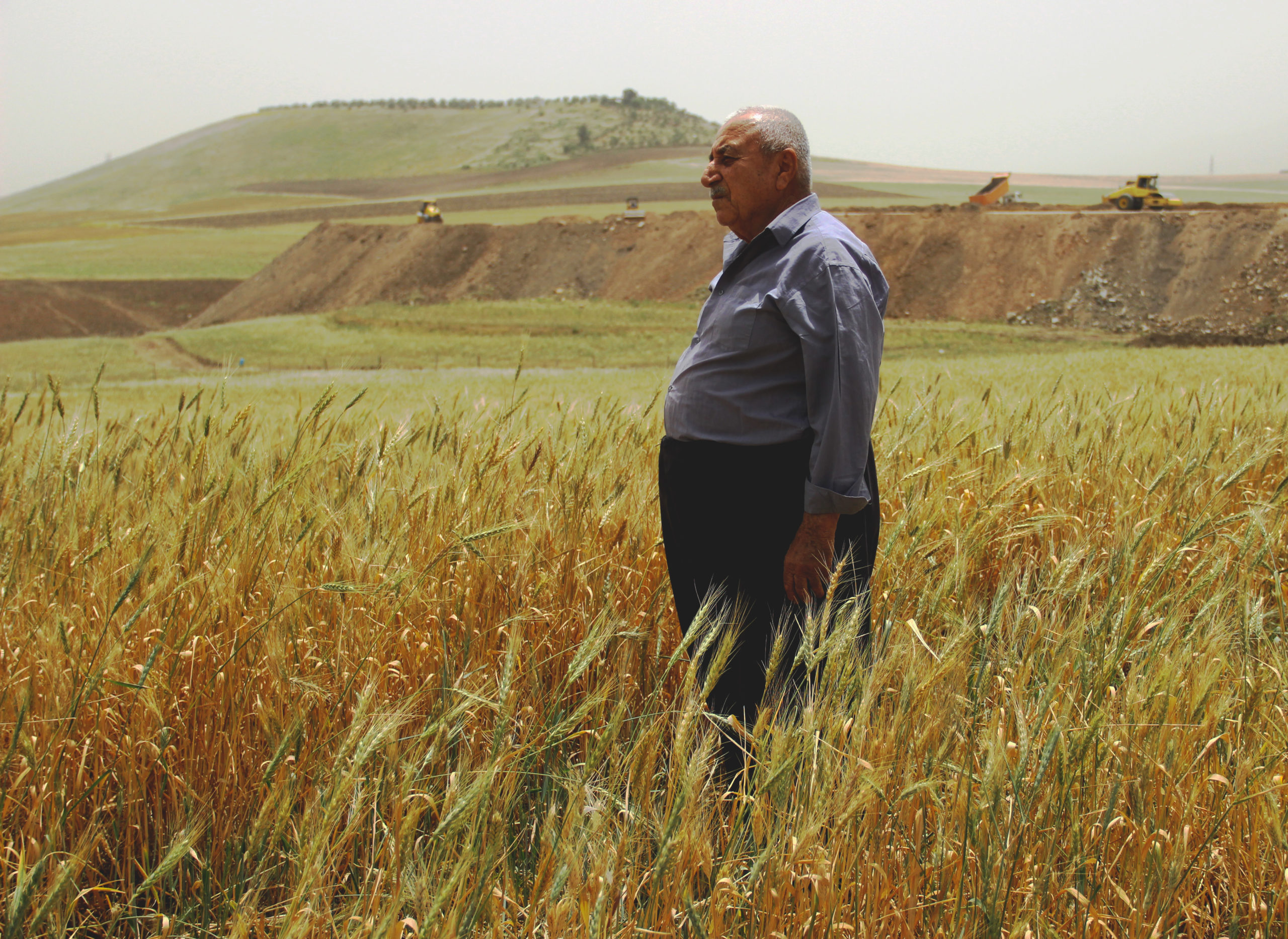 Latif Karim Ismael, 75, in his once-vibrant agricultural field in Chaqlawa in Iraqi Kurdistan / credit: Alessandra Bajec