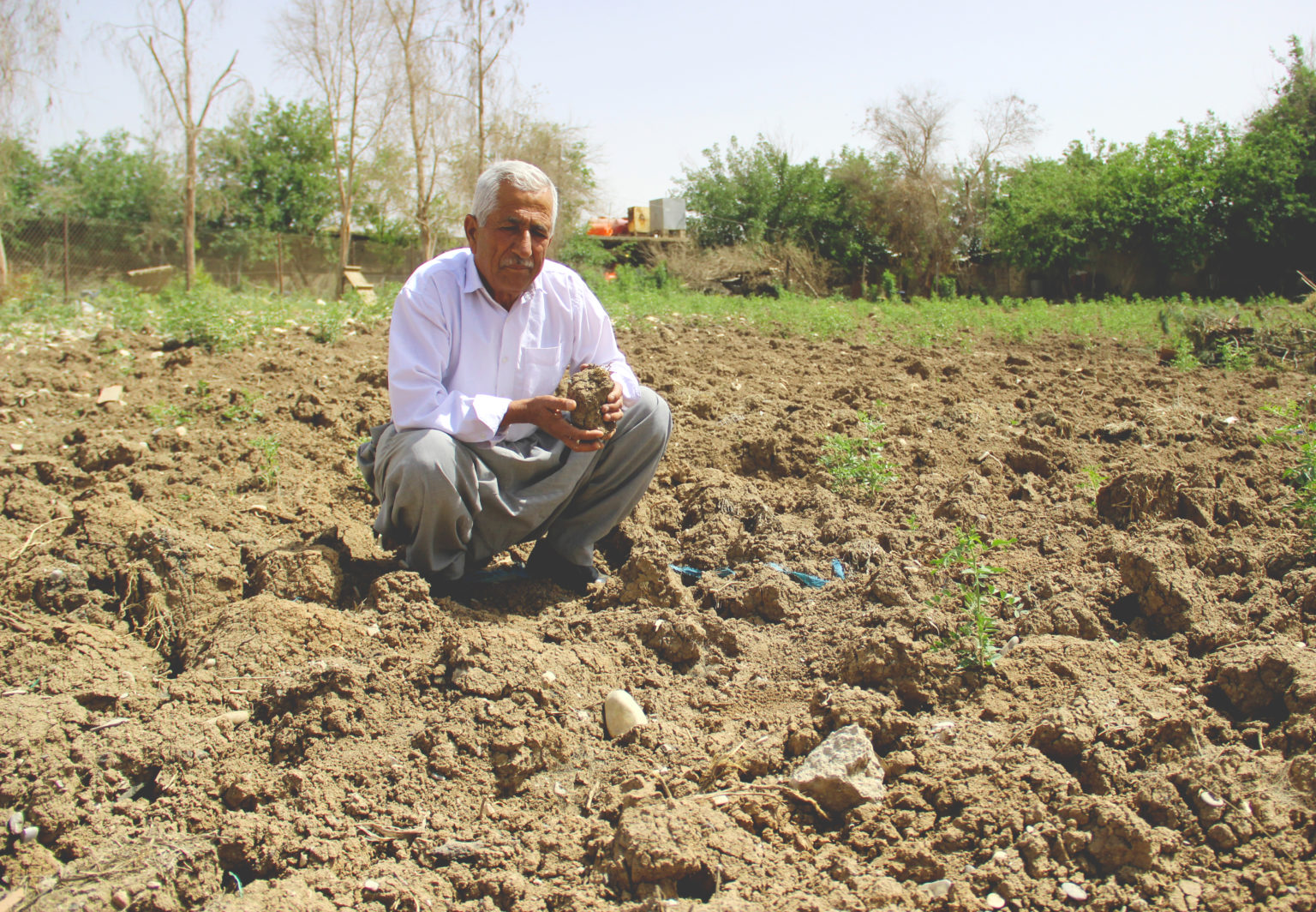 Water Crisis In Iraqs Kurdish Region Strains Food Security Toward