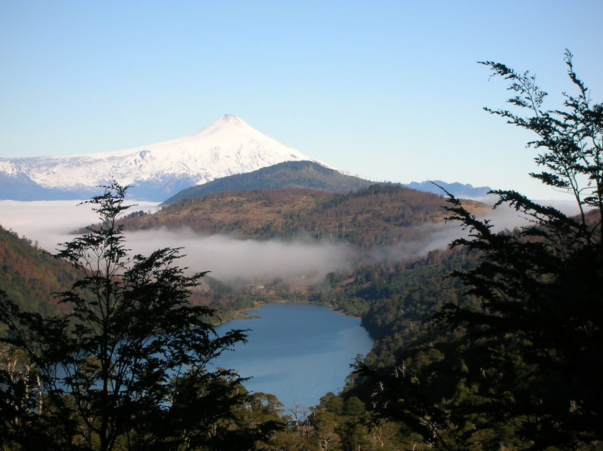 A view of the Villarrica volcano from the Huerquehue National Park in the Araucanía region of Chile / credit: Josefina Hepp