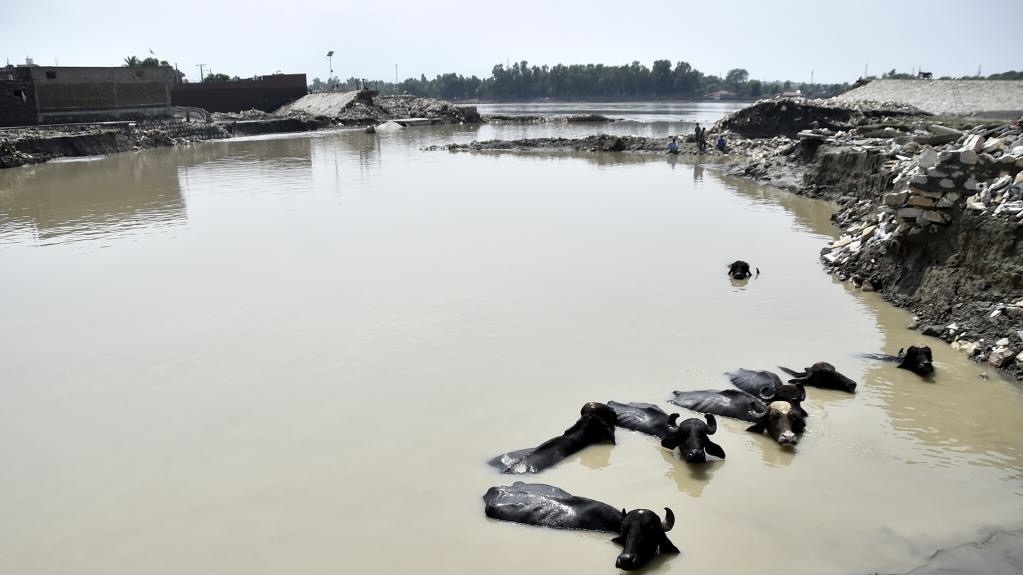 A damaged building is seen after heavy monsoon rain in northwest Pakistan's Nowshera on September 6. At least 11 people were killed in heavy monsoon rain-triggered flash floods in the 24 hours prior to December 2 in Pakistan, the National Disaster Management Authority (NDMA) said / credit: Saeed Ahmad/Xinhua 