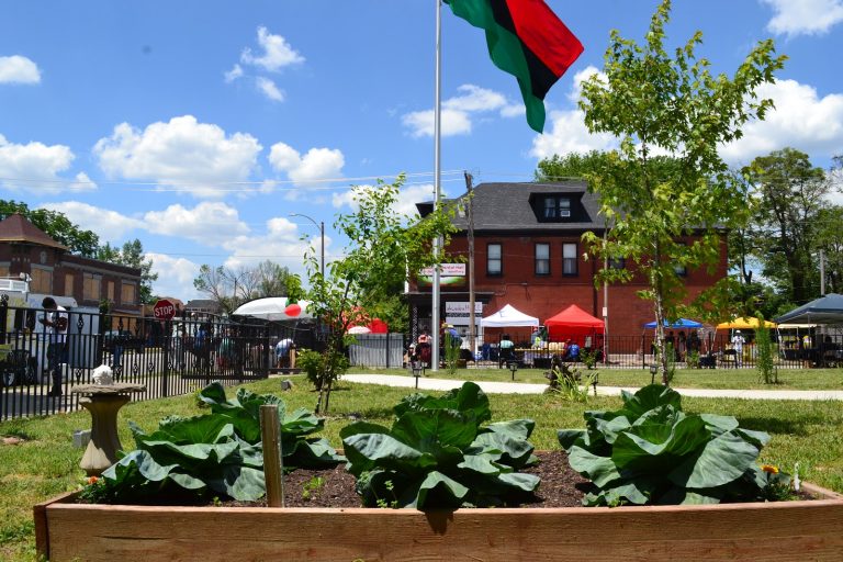 The One Africa! One Nation! Marketplace in front of the Uhuru House at the Gary Brooks Community Garden in the majority-Black north side of Saint Louis, Missouri / credit: Black Power Blueprint