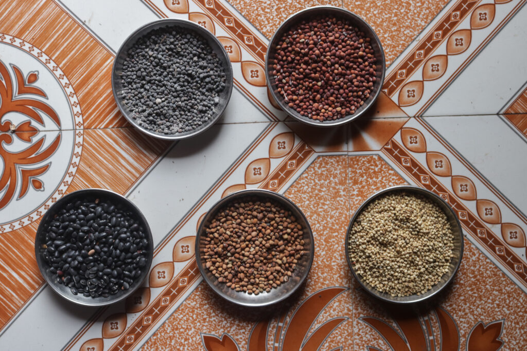Indigenous cereals and pulses grown by Shakila and Gulab Mullani. Top row from left: Udid (black gram), tur (pigeon pea). Bottom row from left: Kala pavtha (black beans), chavali (black-eyed pea), and kar jondhala (indigenous sorghum) / credit: Sanket Jain